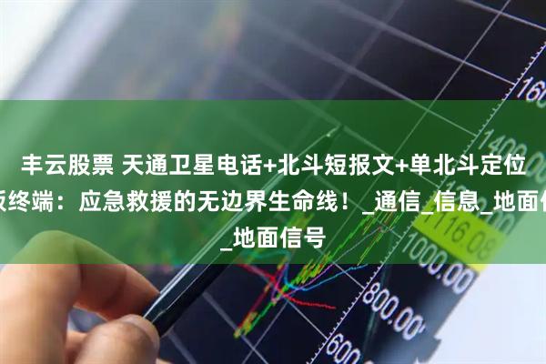 丰云股票 天通卫星电话+北斗短报文+单北斗定位平板终端：应急救援的无边界生命线！_通信_信息_地面信号